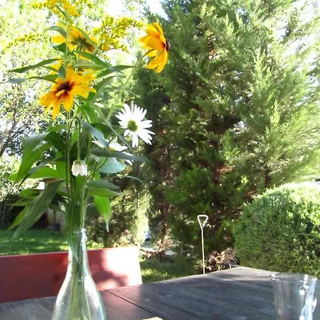 Viki's Romantic House *