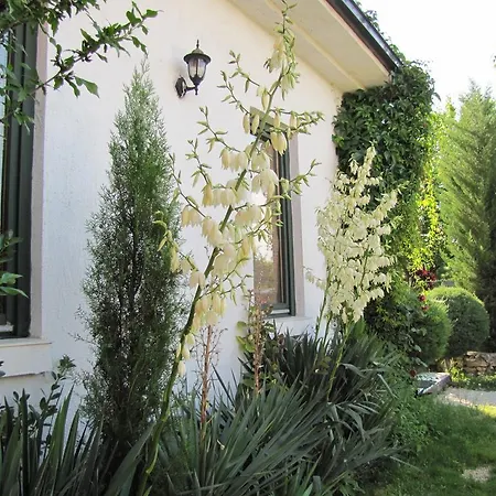 Viki's Romantic House Гостевой дом *