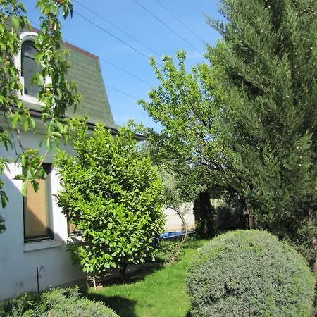 Viki's Romantic House Гостевой дом Скопье